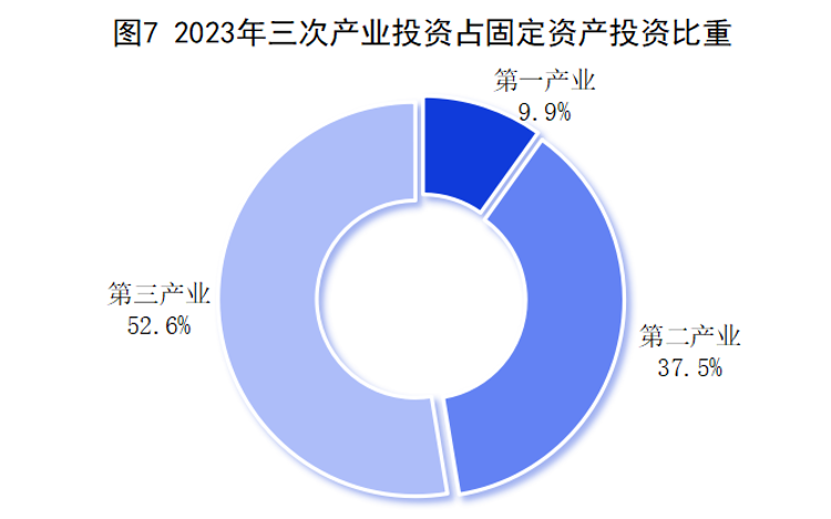 图片7