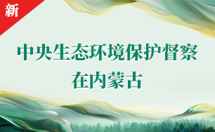 中央生态环境保护督察在内蒙古