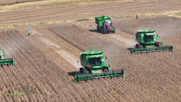 他们的笑脸映着收获丨农民喜悦丰收忙